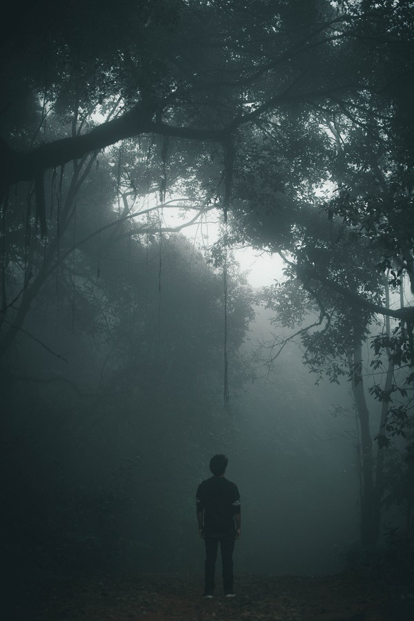 Rani Jhari moody picture